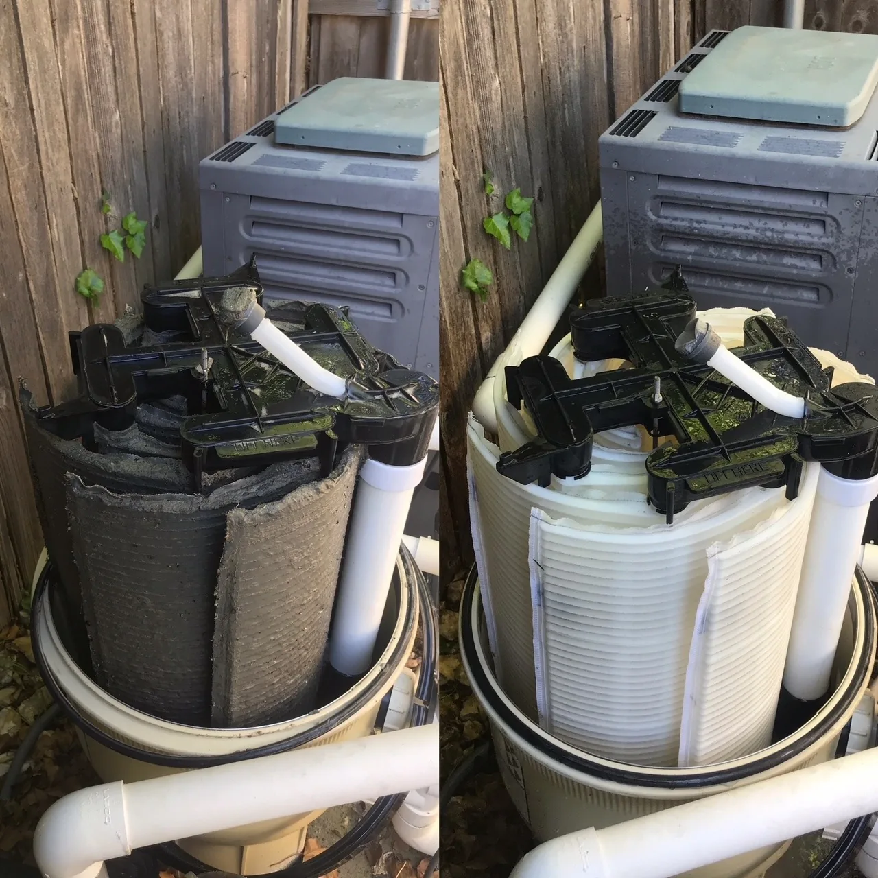 Pool filter backwash
